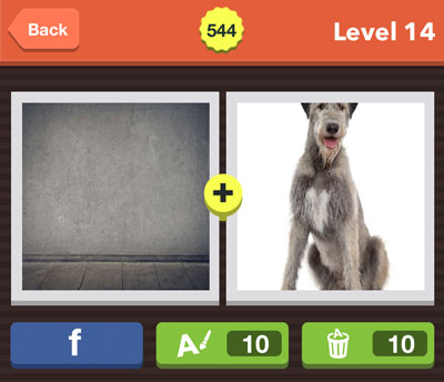  Greyhound 